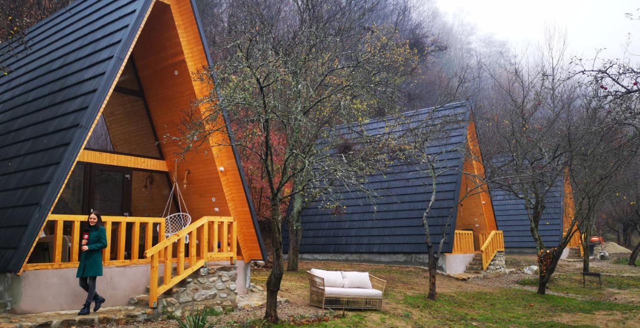 Casa - Cabana Tip A Frame, Cerna, Vaideeni, Valcea Cerna  Exterior photo
